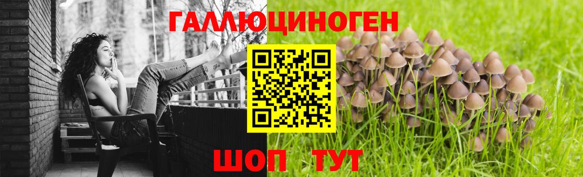 Псилоцибиновые грибы Psilocybine cubensis Грозный